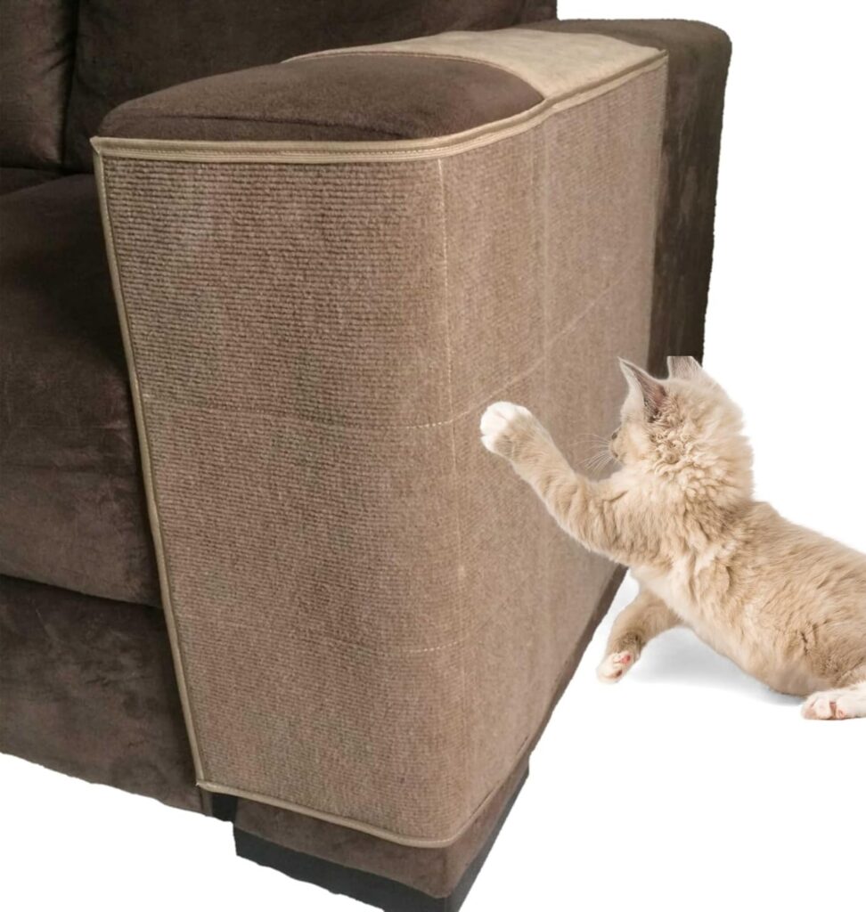 Melhor sofá para quem tem gatos: Top 5 Melhores Modelos com Tecidos ...