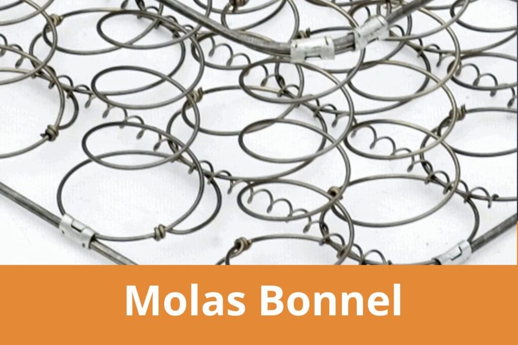 molas bonnel