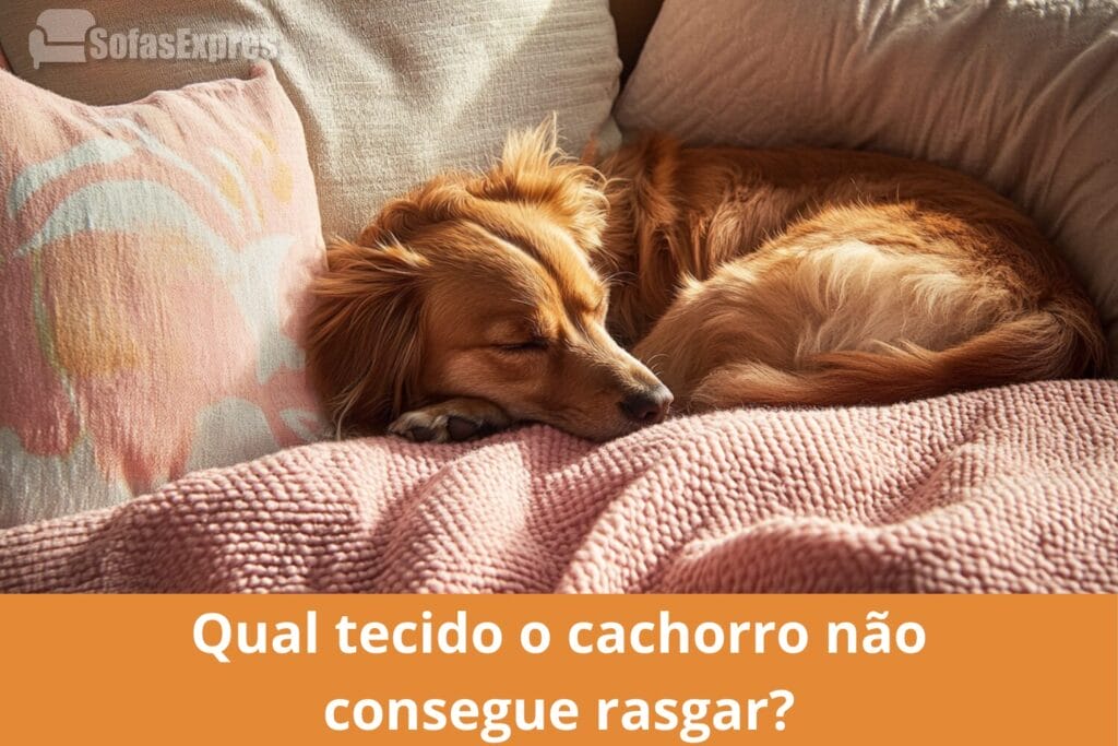 Qual tecido o cachorro não consegue rasgar? (1) Qual tecido o cachorro nao consegue rasgar SofasExpres